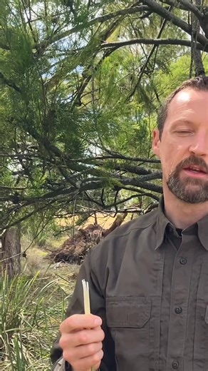 Alex @SurvivalCoursesTasmania is bringing an action-packed lineup of hands-on survival experiences to BushFest. Step inside a life-size survival shelter, try your hand at the mini shelter challenge, and explore the mechanics behind traditional skills with a spring snare trap display and fire-starting demonstrations using a ferro rod. Watch seawater turn into freshwater through practical desalination, then test your agility in the Bushfest Commando Crawl, a crowd favourite for kids and adults ali