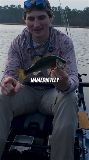 Is a $700 fish finder worth the money??? #fishing #shorts #bassfishing