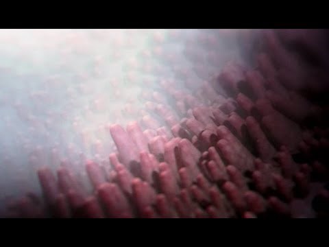 Le roman de l'eau : l'eau et sa planète