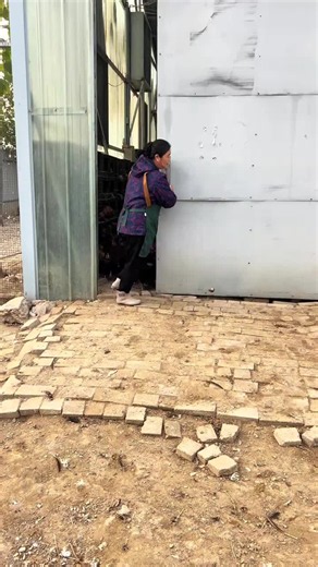 What a Real Free-Range Chicken Looks Like: Rural Farming