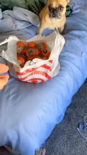 I just got so many Gatorade pods! | Jaden Sprinz