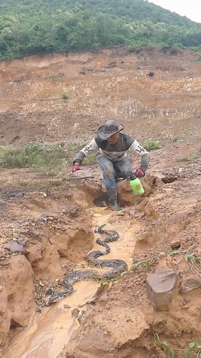 182K views · 654 reactions | best metal detectors for gold and silve #goldhunter #shortsvideo | HOME GOLD | Facebook