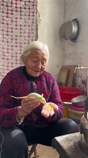 Is the little mouse made by the grandma cute? #Rural life #Handmade DIY