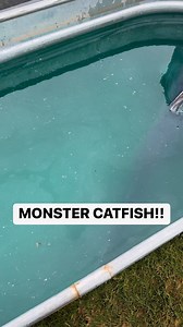 Monster Blue Catfish!! | Tyler Barnes