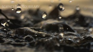 20 reactions | Keep those feet dry! The autumn weather is here. | Science Photo Library | Facebook