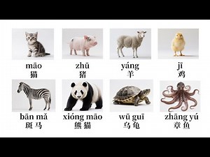 50 Animals in Chinese To Learn Names with Pinyin & English | Vocabulary for Beginners | Basic Words