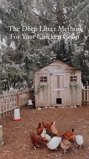 RegenerativeFarmersofAmerica on TikTok