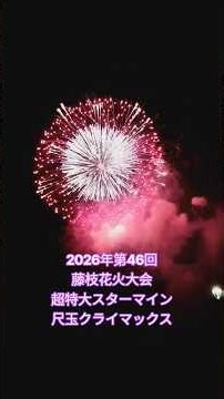 2026年8月🎆第46回藤枝花火大会クライマックス🎇超特大スターマイン,4号~10号玉と尺玉花火⭐#蓮華寺池公園#藤枝市#静岡県#スターマイン#尺玉花火#花火大会 #嵐BGM