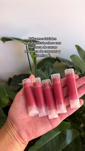 Bálsamos labiales hidratantes hechos con manteca de cacao y copoazu y vitamina E. A solo 20bs #cosmeticanatural #santacruzdelasierra🇳🇬 #jabonesartesanales #emprendimiento #emprendedora #balsamosdelabios