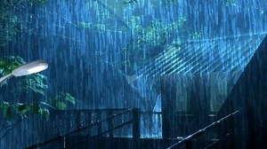 비 폭풍 소나기 물 한 - Free video on Pixabay