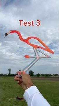 Animal shaped boomerangs!