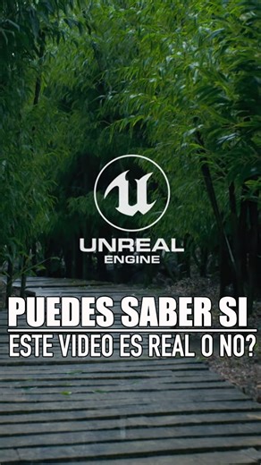 Miren este video, y qué hay con ese video? Pues no es real, ha sido hecho con el Unreal Engine 5, es decir, ha sido creado digitalmente, no es real, por así decir. Pero miren el fuego en un patrón difícil de predecir, como fuego de verdad, y ven esa forma rosada? Eso define hacia dónde va el humo.La pregunta es, dentro de muy poco, cómo vamos a poder distinguir qué es real de lo que no es real?Miren este otro video por ejemplo, también fue creado de forma digital en su totalidad.Qué debemos espe