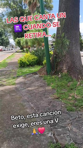 Canciones que canta un Escorpión cuando se retira