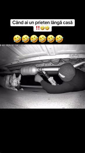 Când ai un prieten lângă casă: Momente amuzante