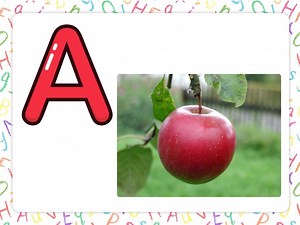 Letters and Sounds A-T