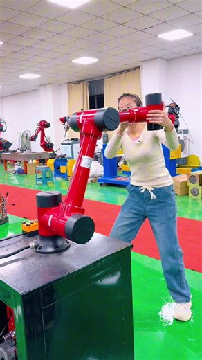 Advanced Industrial Robot Solutions for Automation