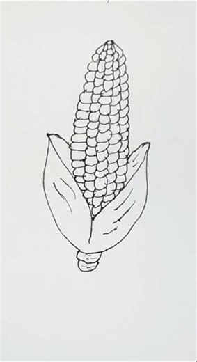 Easy corn drawing video | How to draw a corn step by step tutorial