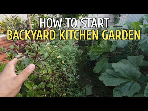 8 TIPS PAANO SIMULAN ANG VEGETABLE GARDEN | Backyard Gardening Ideas - Vegetable Garden -Philippines