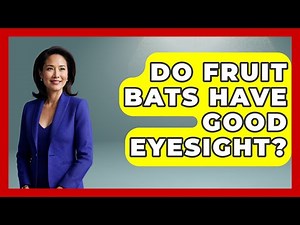 Do Fruit Bats Have Good Eyesight? - The Wild Life Explorer