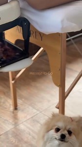 16K views · 121 reactions | Massage Tables vs Beds: What's the Real Difference?#MassageTherapy #MassageTable #Wellness #TherapeuticTouch #Bodywork #MassageBenefits | Massage-to-Go | Facebook