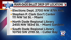 LOCAL 10 NEWS RIGHT NOW:! Today is Election Day and it is the last day to cast your vote: Polls are open from 7 a.m. to 7 p.m., 2 men are arrested in a million-dollar healthcare heist of PPE equipment, and more victims are coming forward to reveal that a popular track coach sexually abused them. Local 10's Eric Yutzy has the latest. | WPLG Local 10