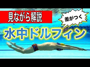 【水中映像】使える水中ドルフィンのポイントと段階別練習方法を解説