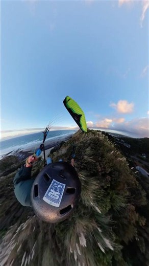 When the Harakeke Moves, It’s Time to Fly