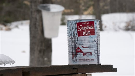 Fake maple syrup sold in Quebec stores contained cane sugar, Radio-Canada investigation finds