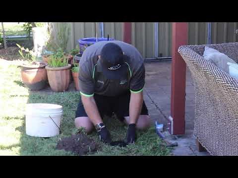 Installing a Termite Station | TermiGold