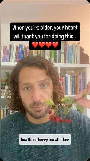 Dr Sam Watts on Instagram: "❤️Here’s the instructions for making hawthorn berry tea as discussed in the video; happy foraging! ❤️Hawthorn Berry Decoction: Herbal decoctions are similar to herbal infusions but they differ in that rather than using the soft aerial parts of the plant, they use the harder parts of the plant such as harder berries and roots. Because these have far tougher cell walls, it is necessary to boil them before use which frees the active chemical constituents they contain. To