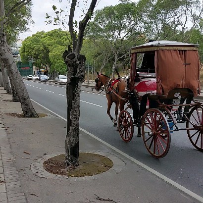 828 reactions · 70 shares | #malta #visitmalta #instamalta | This is Malta | Facebook