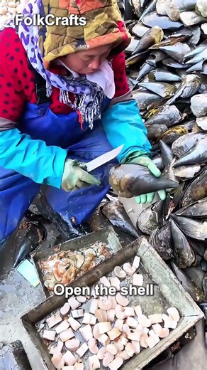 How Workers Remove Scallop Meat Quickly 🐚