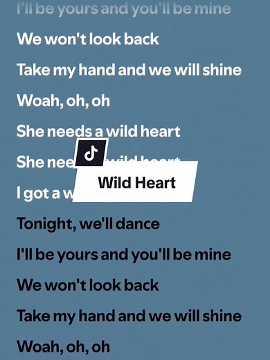 The Vamps - Wild Heart (Lyrics)