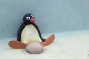 691K views · 13K reactions | Pingu - Season 1, Episodes 1-10 we post other content here - instagram.com/pingum8official/ | Pingu M8 | Facebook