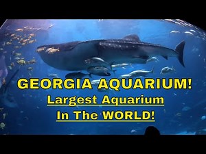 Georgia Aquarium - #1 Largest Aquarium in The World!! - (Full Tour)