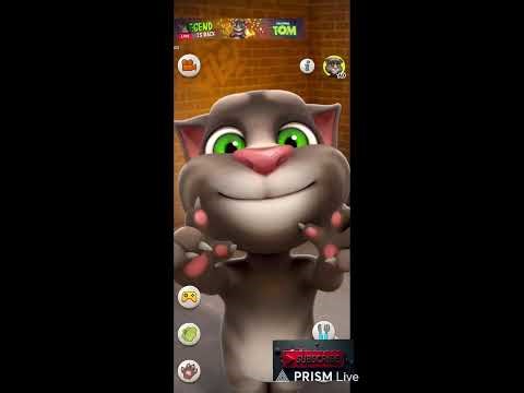 My Talking Tom live #shorts