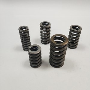 [Hot Item] Clutch Spring for Car Clutch