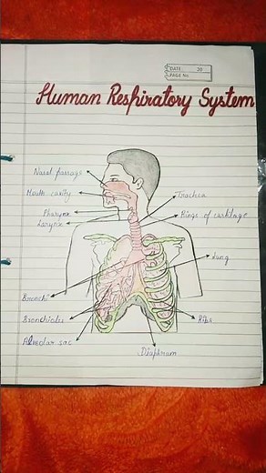Class 10# science portfolio# easy & creative