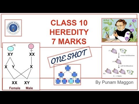 Heredity Explained | Laws of Inheritance | Easy Concepts | Fulcrum Academy Class 10 Science