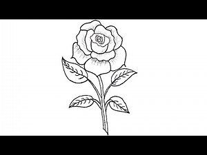 Easy Rose Drawing Tutorial | Sketch, Pen & Black & White