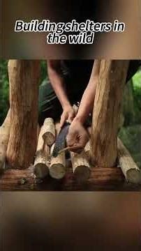 Survival Boy: BUILDING Shelter outdoorHOME in the WILD #survival #outdoors #camping #bushcraft