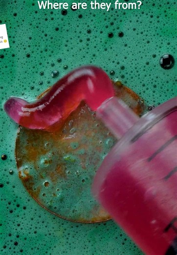 Satisfying Coin Cleaning ASMR for My Wife