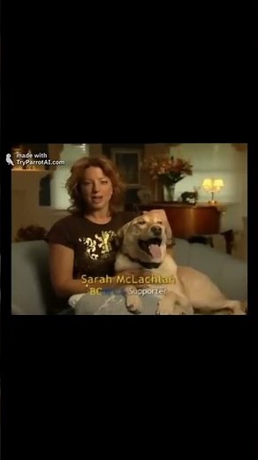 Sarah mclachlan aspca commercial. audio arms of an angel, by sarah mclachlan