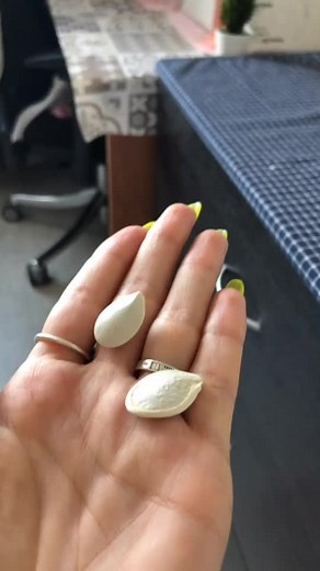 Caring for Your Pet Rat: Tips and Interaction Guide