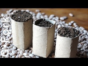 Cardboard Seed Starting Pots DIY GardenFork