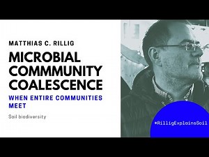 Microbial community coalescence: when entire communities meet. #biodiversity - Rillig explains soil.