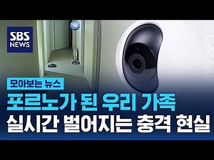 포르노가 된 우리 가족…실시간 벌어지는 충격 현실 / SBS / 모아보는 뉴스