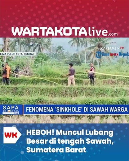 HEBOH! Muncul Lubang Besar di tengah Sawah, Sumatera Barat