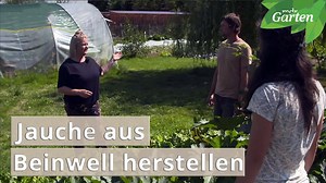 Wer Beinwell im Garten hat, kann aus der Wildstaude pflanzlichen Dünger herstellen. Die Permakultur-Experten Hendrik Noßmann und Aline Schreyer zeigen, wie die Jauche gemacht und im Gemüsebeet richtig angewendet wird. mdr.de/s/beinwelljauche | MDR Garten
