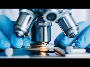 OCR A Level Biology 2.2 Magnification and Microscopes